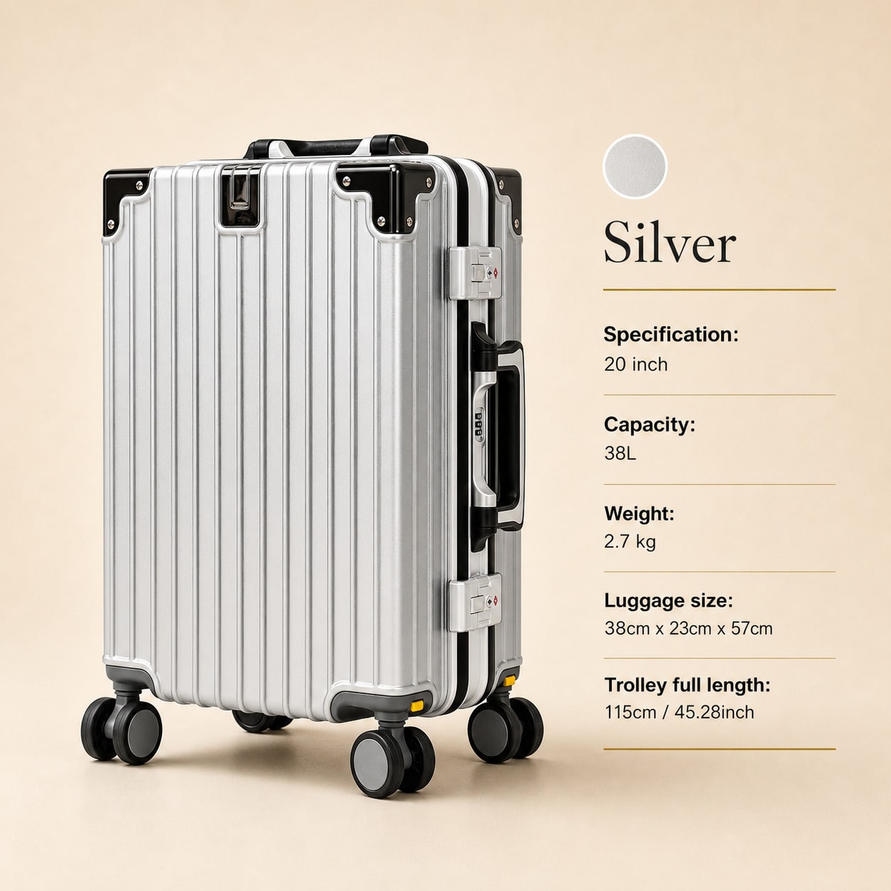 20 Zoll Handgepäck-Koffer, Flu – Cabin Size Lightweight Travel Trolley Bewertung und Preis